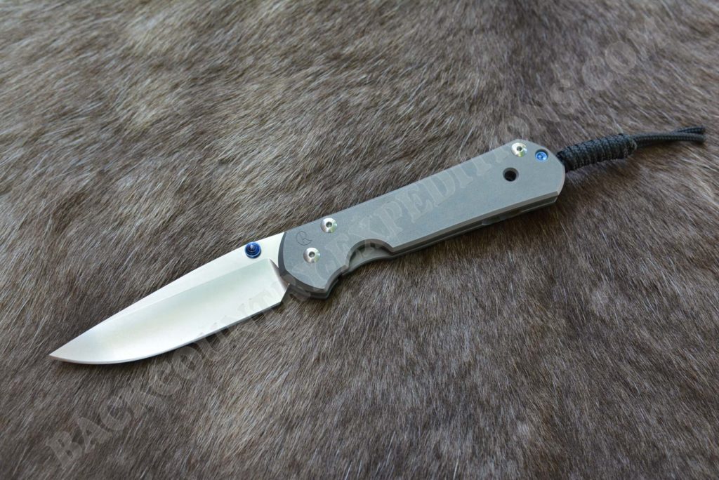 Chris Reeve Large Sebenza 21 CPM-S35VN