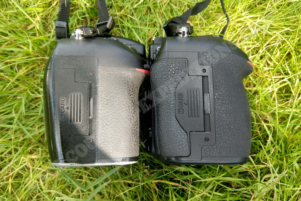 Nikon D800 vs. D810