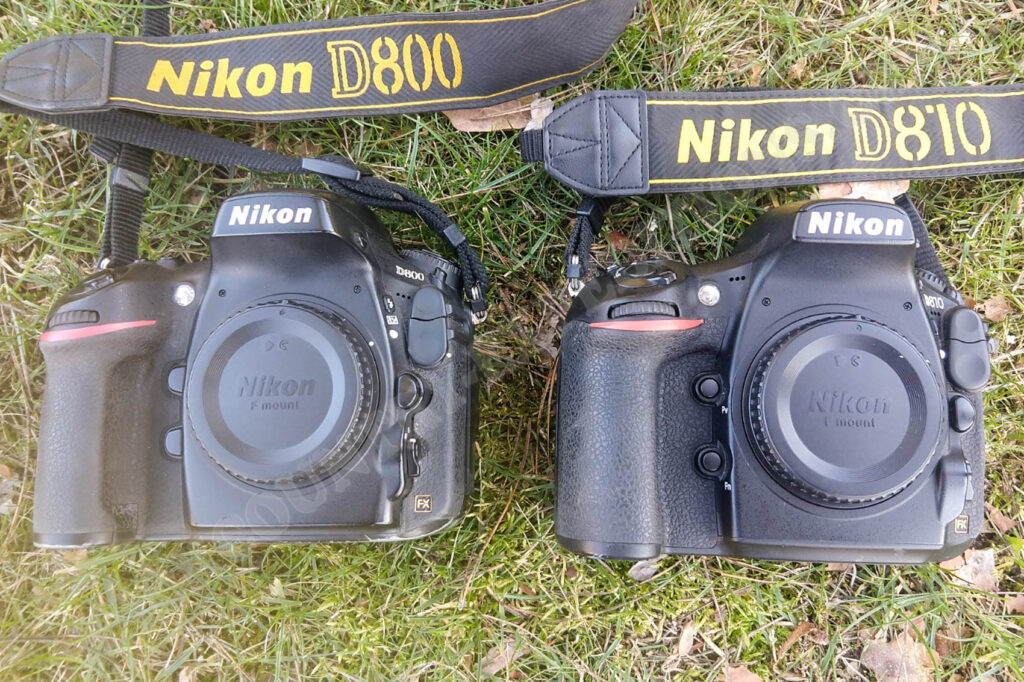 Nikon D800 vs. D810
