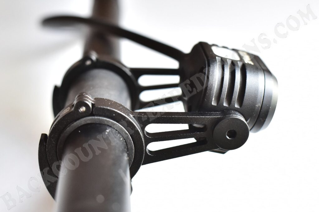 Lupine Piko mit Betty-Haltern