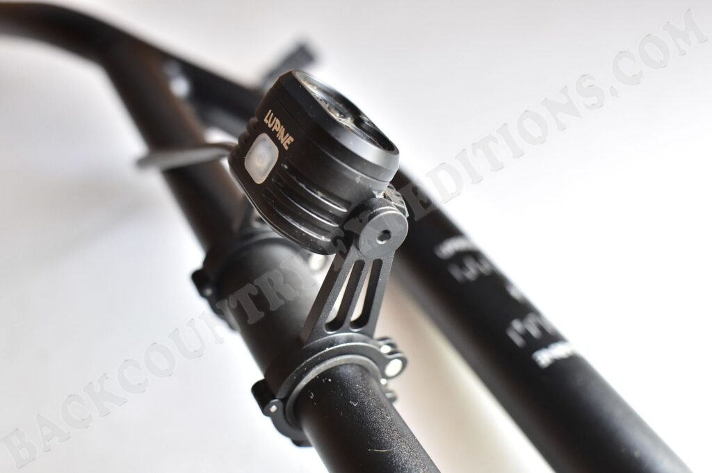 Lupine Piko mit Betty-Haltern