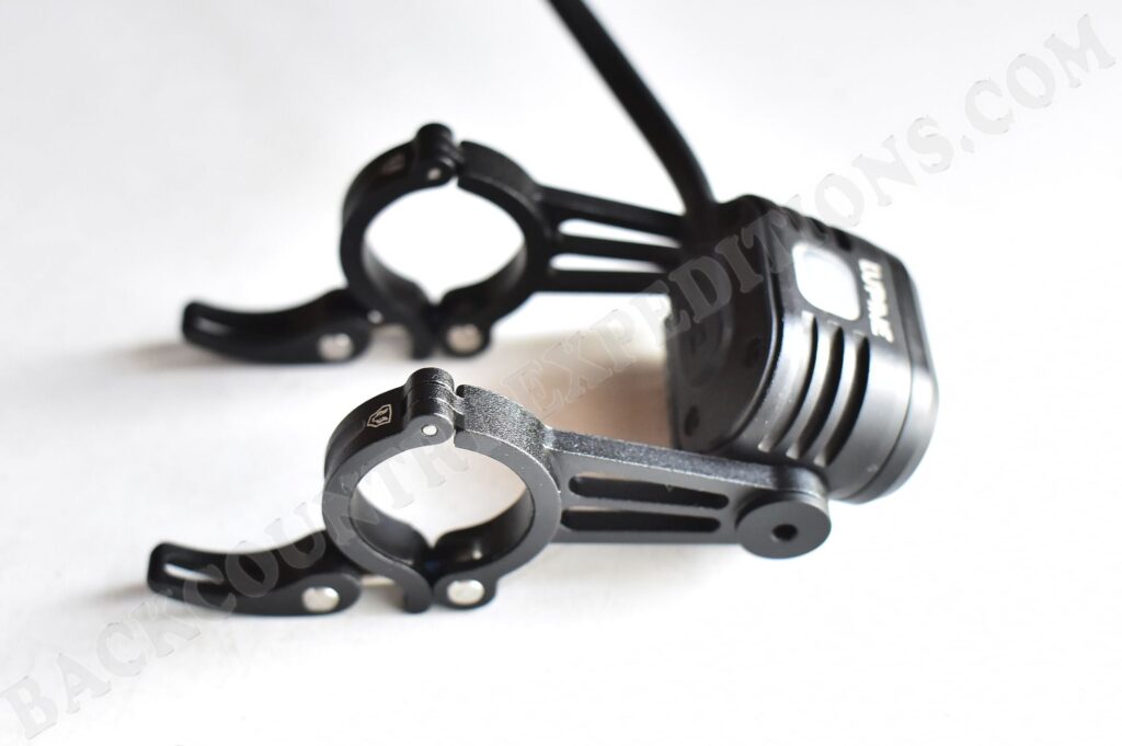 Lupine Piko mit Betty-Haltern