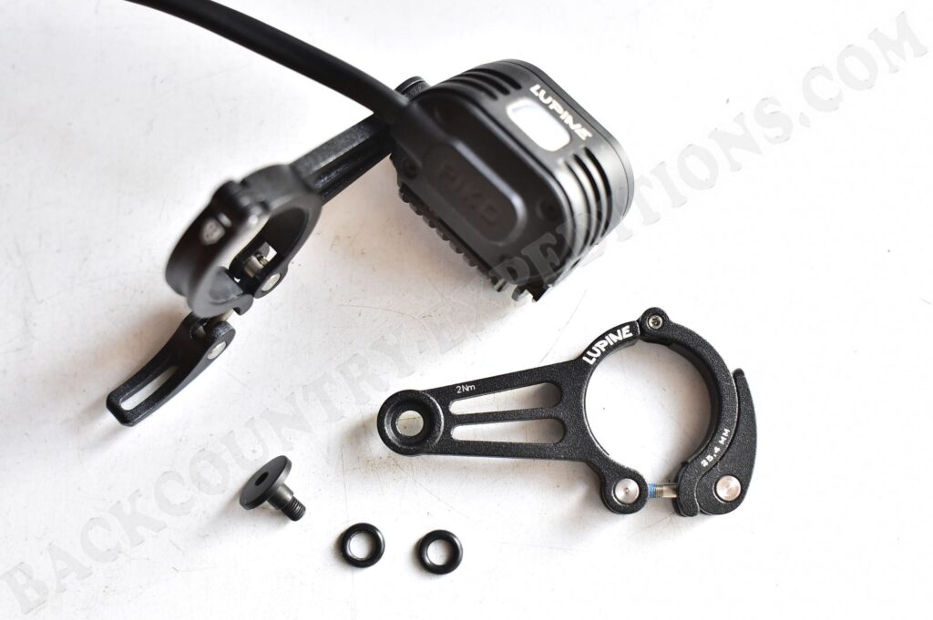 Lupine Piko mit Betty-Haltern