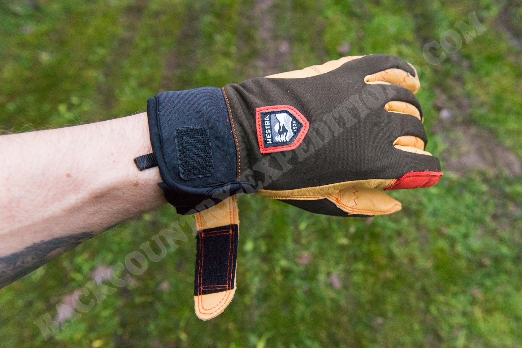 Hestra Ergo Grip Active - Backcountry Expeditions