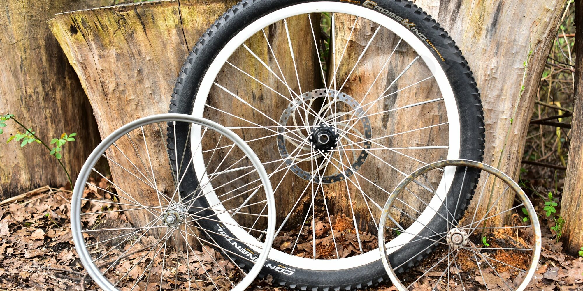 rennrad sensa Sensa Romagna
