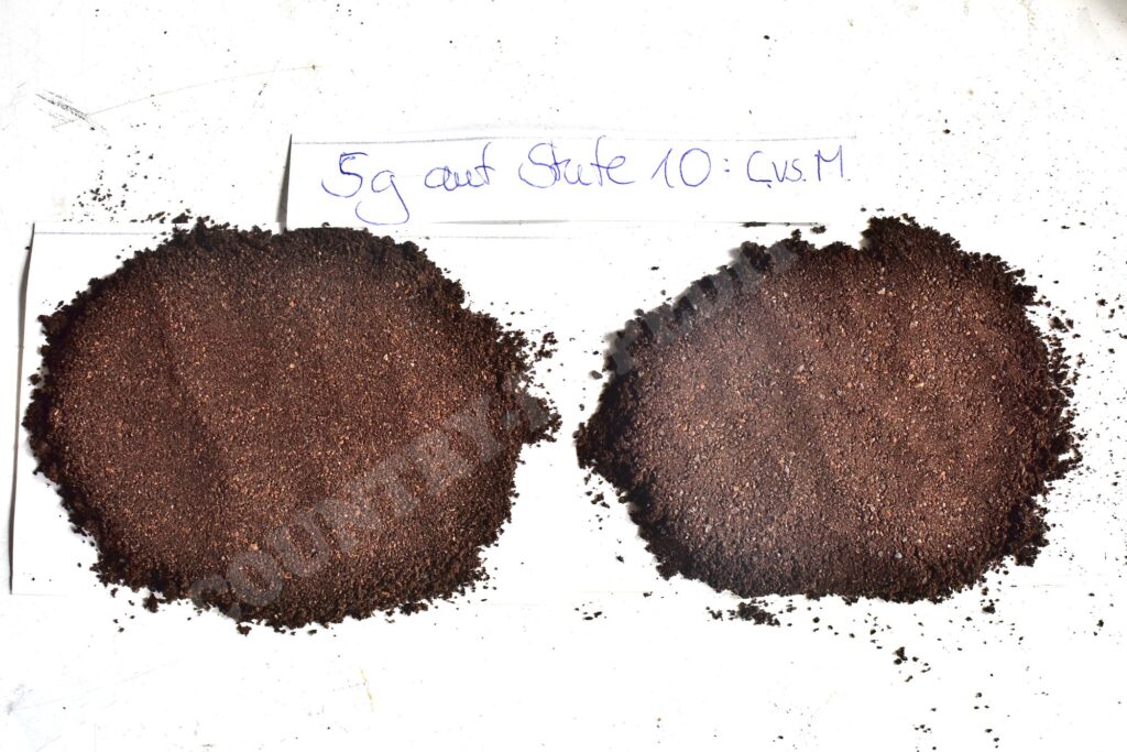 Comandante C40 vs. Mignon