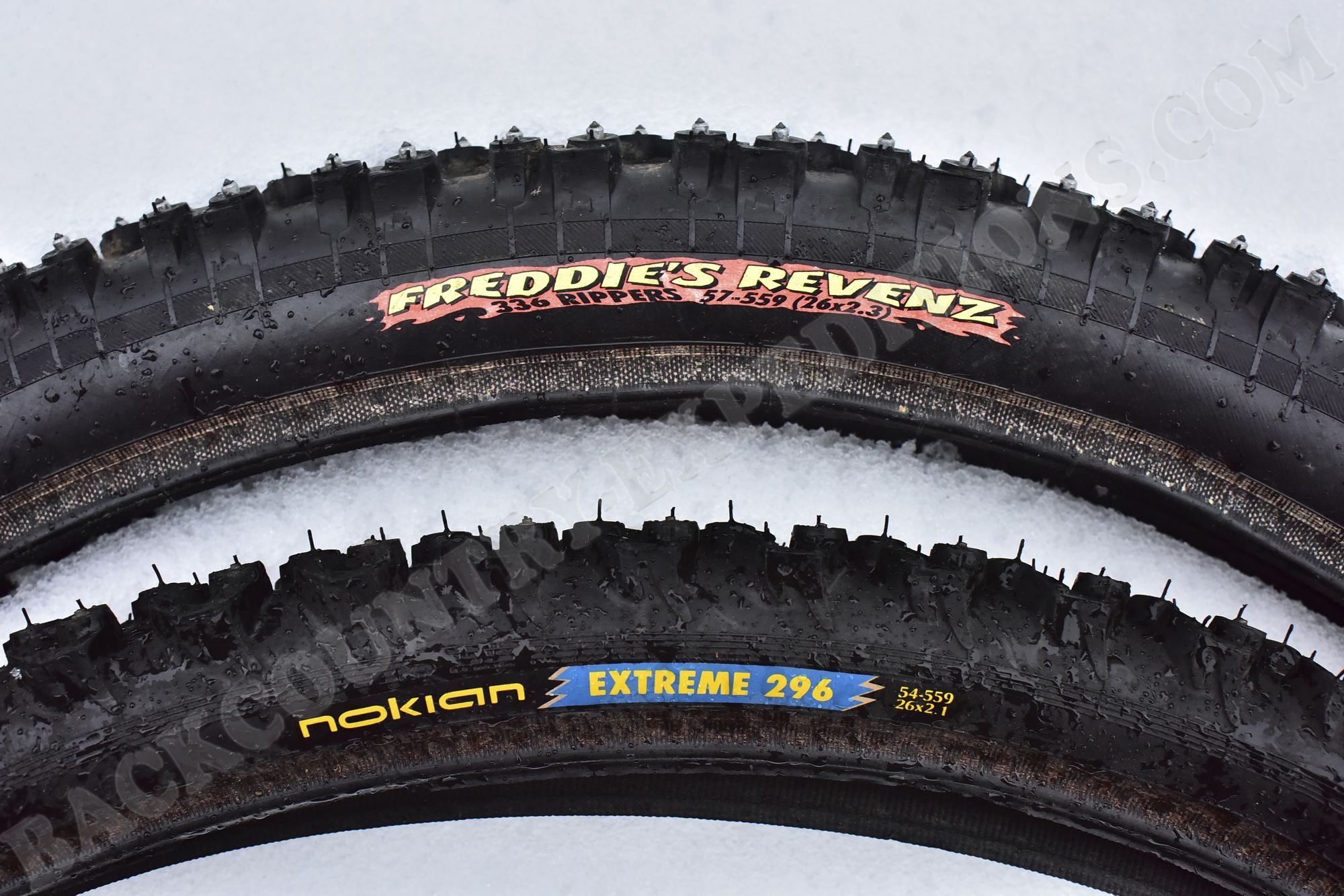 Maxxis Tread Lite 2.10 Exo Protection - Backcountry Expeditions