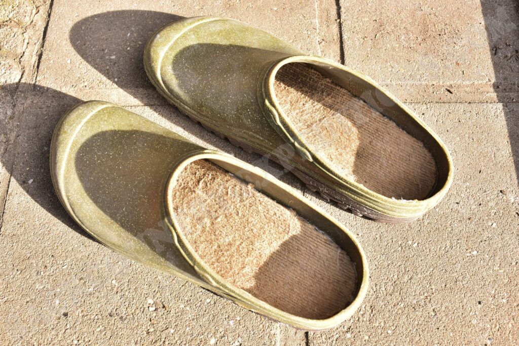 Rouchette Peips Clogs